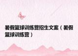 暑假籃球訓(xùn)練營招生文案（暑假籃球訓(xùn)練營）