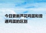 今日更新蘆花雞蛋和普通雞蛋的區(qū)別