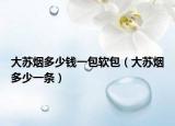 大蘇煙多少錢一包軟包（大蘇煙多少一條）