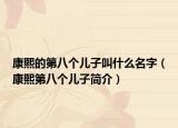 康熙的第八個兒子叫什么名字（康熙第八個兒子簡介）