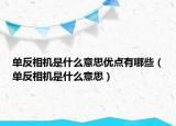 單反相機是什么意思優(yōu)點有哪些（單反相機是什么意思）