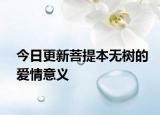今日更新菩提本無樹的愛情意義