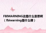 FBIWARNING這是什么意思?。╢biwarning是什么梗）