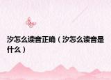 汐怎么讀音正確（汐怎么讀音是什么）