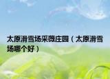 太原滑雪場采薇莊園（太原滑雪場哪個好）
