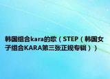 韓國組合kara的歌（STEP（韓國女子組合KARA第三張正規(guī)專輯））