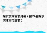 哈爾濱冰雪節(jié)開(kāi)幕（第24屆哈爾濱冰雪電影節(jié)）