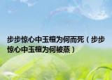 步步驚心中玉檀為何而死（步步驚心中玉檀為何被蒸）