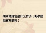 明孝陵地宮是什么樣子（明孝陵地宮開(kāi)放嗎）