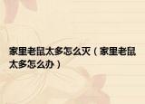 家里老鼠太多怎么滅（家里老鼠太多怎么辦）
