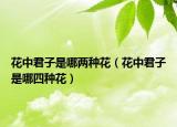 花中君子是哪兩種花（花中君子是哪四種花）
