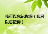 我可以忘記你嗎（我可以忘記你）