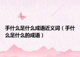 手什么足什么成語近義詞（手什么足什么的成語）