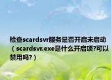 檢查scardsvr服務是否開啟未啟動（scardsvr.exe是什么開啟項?可以禁用嗎?）