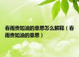 春雨貴如油的意思怎么解釋（春雨貴如油的意思）