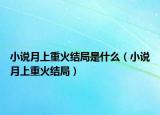 小說月上重火結(jié)局是什么（小說月上重火結(jié)局）