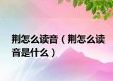 荊怎么讀音（荊怎么讀音是什么）