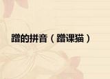 蹭的拼音（蹭課貓）