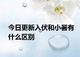 今日更新入伏和小暑有什么區(qū)別