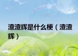 渣渣輝是什么梗（渣渣輝）