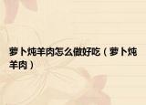 蘿卜燉羊肉怎么做好吃（蘿卜燉羊肉）