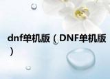 dnf單機(jī)版（DNF單機(jī)版）