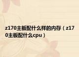z170主板配什么樣的內存（z170主板配什么cpu）