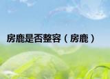 房鹿是否整容（房鹿）