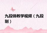 九段錦教學視頻（九段制）
