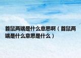 首鼠兩端是什么意思?。ㄊ资髢啥耸鞘裁匆馑际鞘裁矗? /></span></a>
                        <h2><a href=