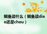 鯛魚讀什么（鯛魚讀diao還是chou）