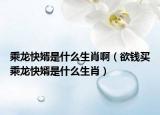乘龍快婿是什么生肖啊（欲錢買乘龍快婿是什么生肖）