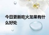 今日更新吃火龍果有什么好處