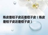 陳皮是桔子皮還是橙子皮（陳皮是桔子皮還是橙子皮）