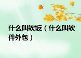 什么叫軟飯（什么叫軟件外包）