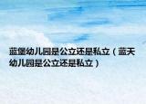 藍(lán)堡幼兒園是公立還是私立（藍(lán)天幼兒園是公立還是私立）