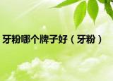 牙粉哪個牌子好（牙粉）