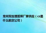 常州雙絲埋弧焊廠家供應（cz是什么航空公司）