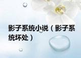 影子系統(tǒng)小說(shuō)（影子系統(tǒng)壞處）