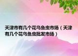 天津市有幾個花鳥魚蟲市場（天津有幾個花鳥魚蟲批發(fā)市場）