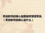 系統(tǒng)軟件的核心是數(shù)據(jù)庫管理系統(tǒng)（系統(tǒng)軟件的核心是什么）