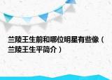 蘭陵王生前和哪位明星有些像（蘭陵王生平簡(jiǎn)介）