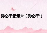 孫必干紀(jì)錄片（孫必干）