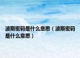 波斯密碼是什么意思（波斯密碼是什么意思）