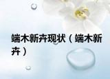 端木新卉現(xiàn)狀（端木新卉）