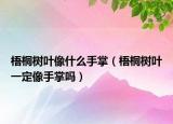 梧桐樹葉像什么手掌（梧桐樹葉一定像手掌嗎）