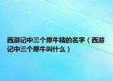 西游記中三個(gè)犀牛精的名字（西游記中三個(gè)犀牛叫什么）
