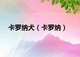 卡羅納犬（卡羅納）