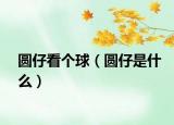 圓仔看個球（圓仔是什么）