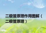 二極管原理作用圖解（二極管原理）